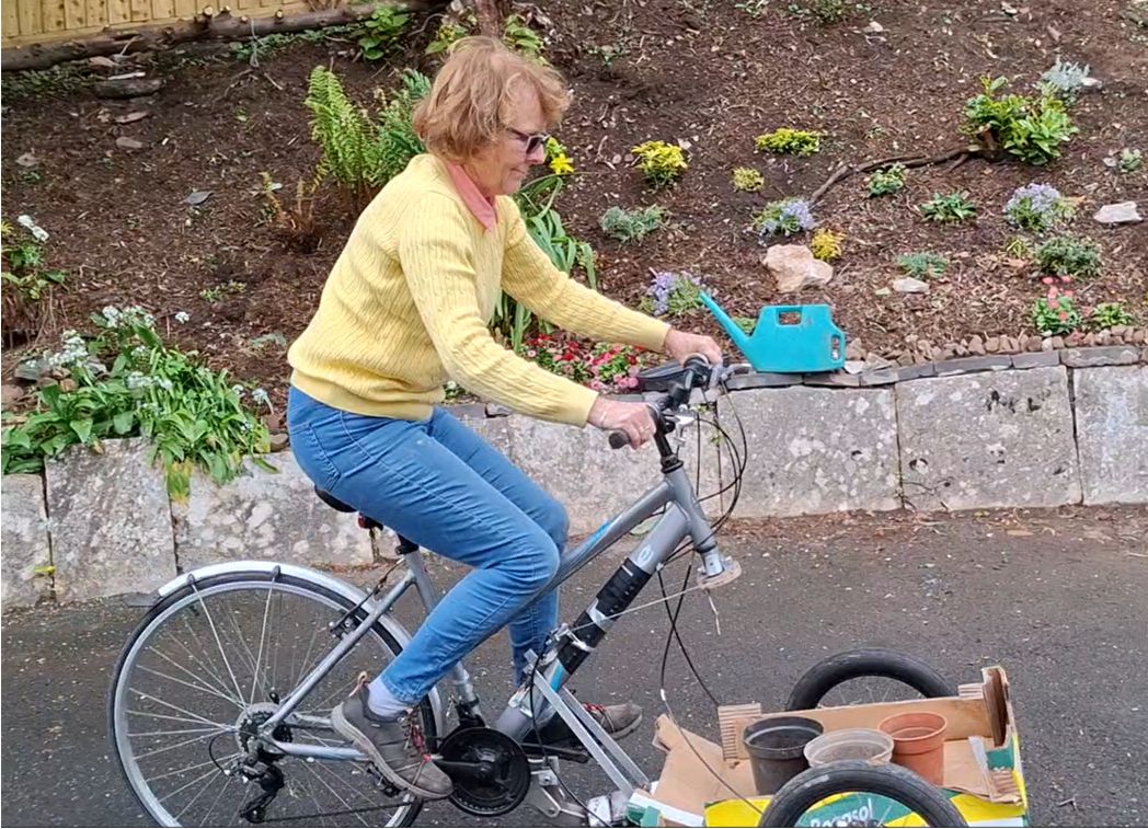 shopping bike